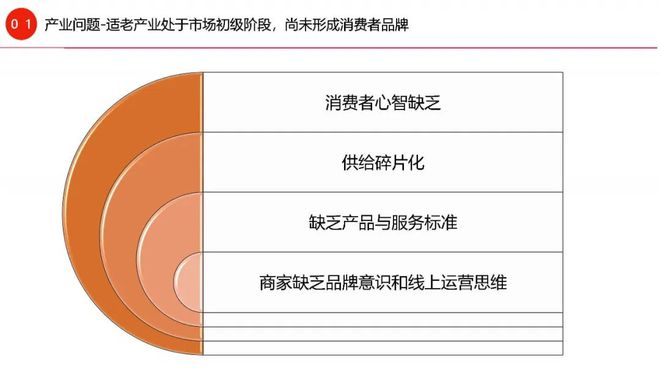 天猫家装家居：万亿“爸妈经济”崛起家居适老化如何把握线上雷竞技官网 雷竞技APP机会？(图3)