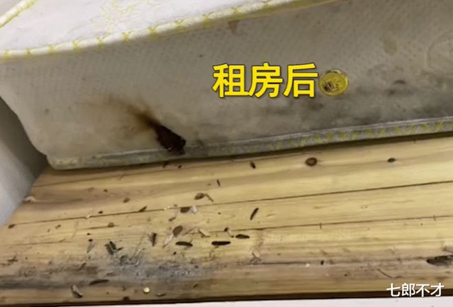 雷竞技官网 雷竞技RAYBET湖南年轻情侣租房一年：沙发茶几烫烟疤床垫下面塞瓜子壳(图3)