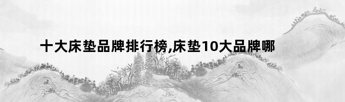 雷竞技官网 雷竞技RAYBET十大床垫品牌排行榜床垫10大品牌哪个好用(图1)