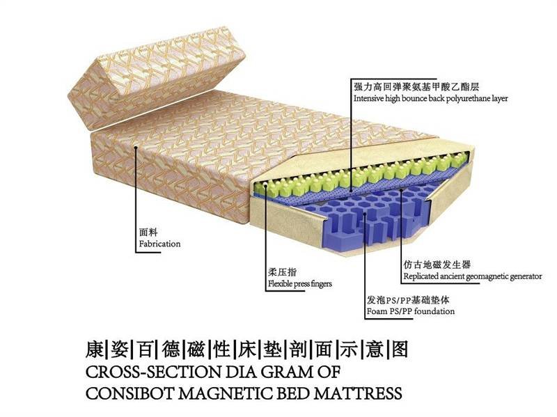 雷竞技官网 雷竞技RAYBET康姿百德床垫助力健康睡眠守护国人脊椎健康(图3)