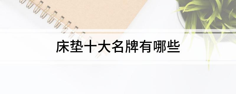 雷竞技官网 雷竞技RAYBET床垫十大名牌有哪些(图1)