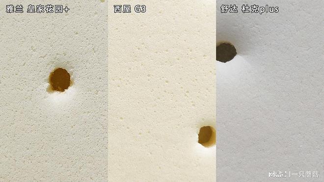 雷竞技官网 雷竞技RAYBET2023选购床垫有门道！舒达、西屋、梦百合、雅兰全方位解析！(图23)