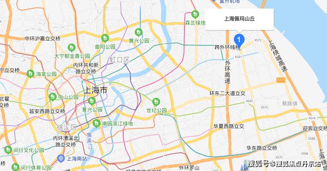 雷竞技官网 雷竞技APP【官方最新】浦东佩玛山丘售楼处：9号线米(图6)